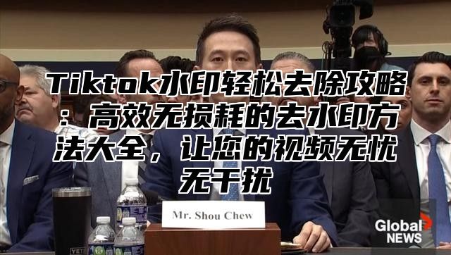 Tiktok水印轻松去除攻略：高效无损耗的去水印方法大全，让您的视频无忧无干扰