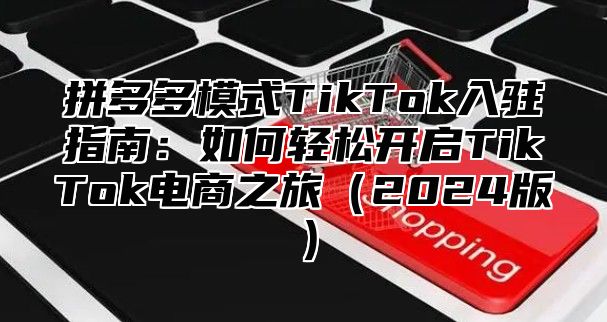 拼多多模式TikTok入驻指南：如何轻松开启TikTok电商之旅2025版