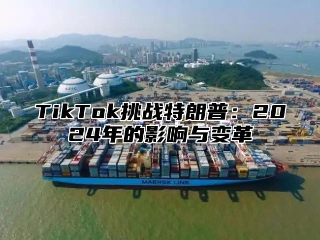 TikTok挑战特朗普：2025年的影响与变革