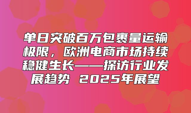 单日突破百万包裹量运输极限，欧洲电商市场持续稳健生长——探访行业发展趋势 2025年展望
