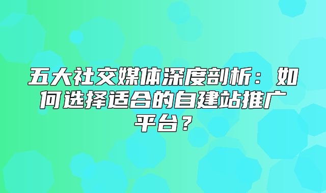 五大社交媒体深度剖析：如何选择适合的自建站推广平台？