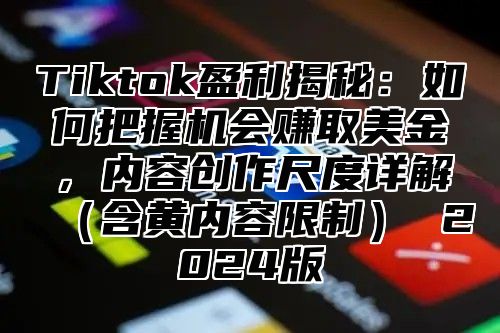Tiktok盈利揭秘：如何把握机会赚取美金，内容创作尺度详解含黄内容限制 2025版