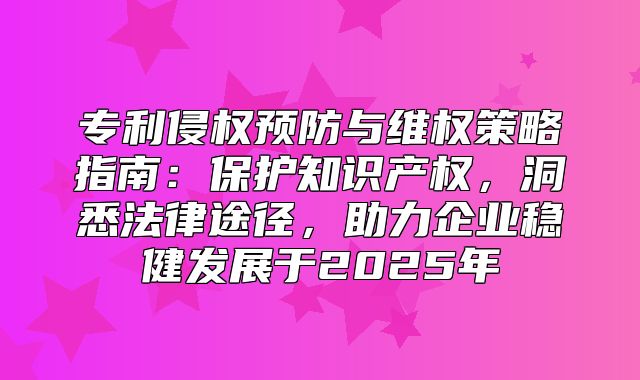 专利侵权预防与维权策略指南：保护知识产权，洞悉法律途径，助力企业稳健发展于2025年