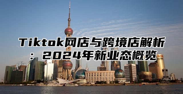 Tiktok网店与跨境店解析：2025年新业态概览