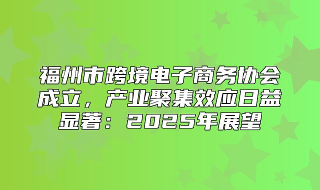 福州市跨境电子商务协会成立，产业聚集效应日益显著：2025年展望