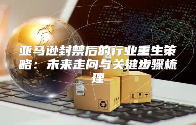 亚马逊封禁后的行业重生策略：未来走向与关键步骤梳理