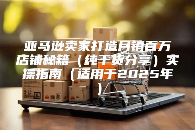 亚马逊卖家打造月销百万店铺秘籍纯干货分享实操指南适用于2025年