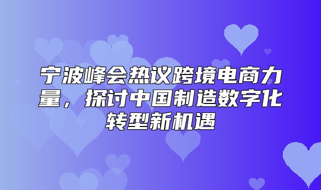 宁波峰会热议跨境电商力量，探讨中国制造数字化转型新机遇