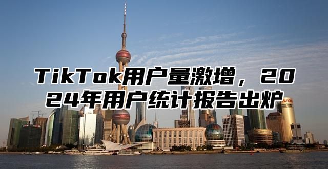 TikTok用户量激增，2025年用户统计报告出炉