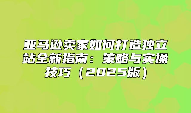 亚马逊卖家如何打造独立站全新指南：策略与实操技巧2025版