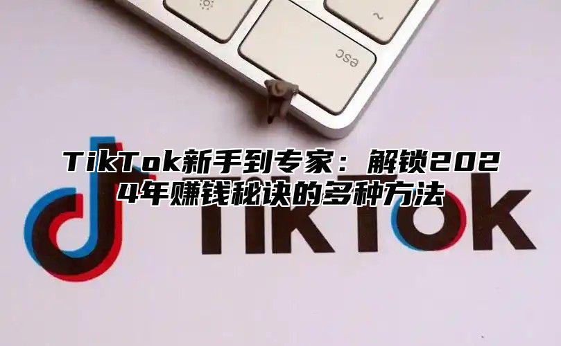 TikTok新手到专家：解锁2025年赚钱秘诀的多种方法