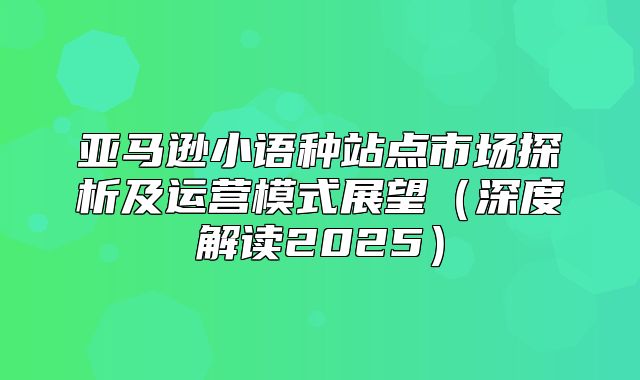 亚马逊小语种站点市场探析及运营模式展望深度解读2025