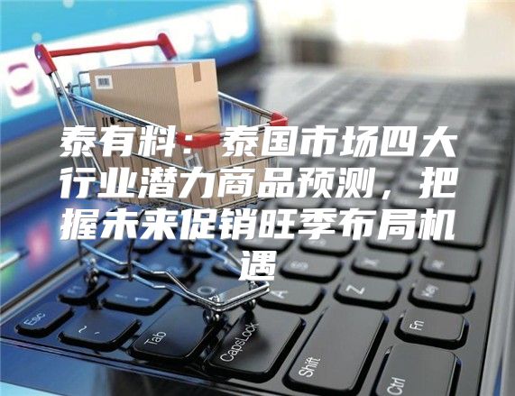 泰有料：泰国市场四大行业潜力商品预测，把握未来促销旺季布局机遇