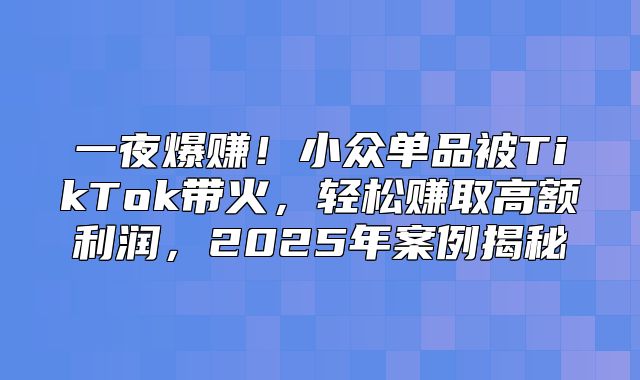 一夜爆赚！小众单品被TikTok带火，轻松赚取高额利润，2025年案例揭秘