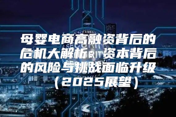 母婴电商高融资背后的危机大解析：资本背后的风险与挑战面临升级2025展望