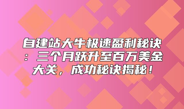 自建站大牛极速盈利秘诀：三个月跃升至百万美金大关，成功秘诀揭秘！