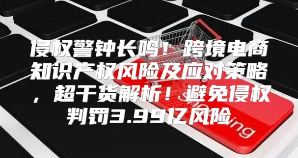 侵权警钟长鸣！跨境电商知识产权风险及应对策略，超干货解析！避免侵权判罚3.99亿风险