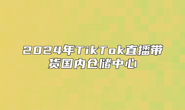 2025年TikTok直播带货国内仓储中心