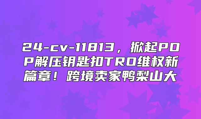 24-cv-11813，掀起POP解压钥匙扣TRO维权新篇章！跨境卖家鸭梨山大
