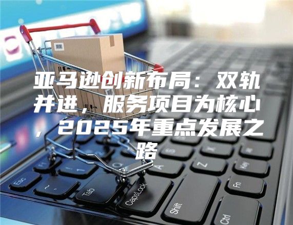 亚马逊创新布局：双轨并进，服务项目为核心，2025年重点发展之路