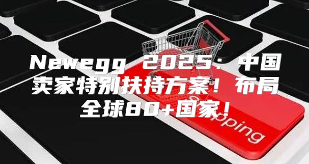 Newegg 2025中国卖家特别扶持方案！布局全球80+国家！