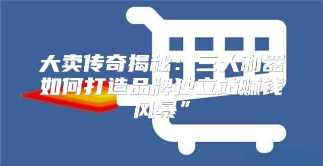 大卖传奇揭秘：三大利器如何打造品牌独立站赚钱风暴”