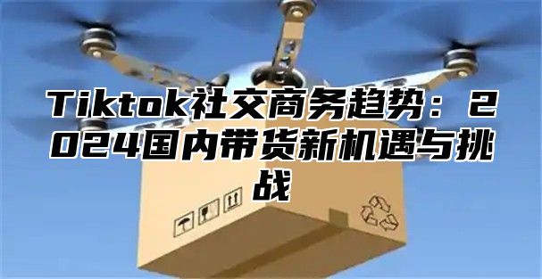 Tiktok社交商务趋势：2025国内带货新机遇与挑战