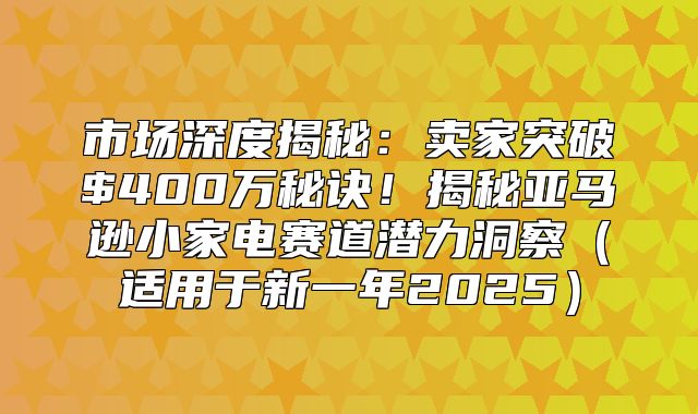 市场深度揭秘：卖家突破$400万秘诀！揭秘亚马逊小家电赛道潜力洞察适用于新一年2025