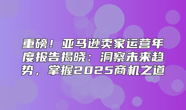 重磅！亚马逊卖家运营年度报告揭晓：洞察未来趋势，掌握2025商机之道