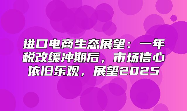 进口电商生态展望：一年税改缓冲期后，市场信心依旧乐观，展望2025