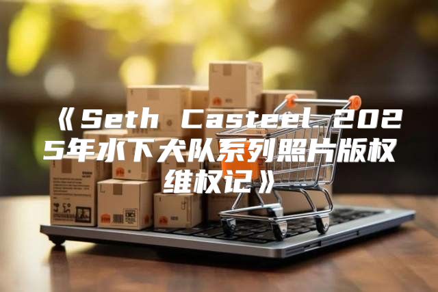 SethCasteel2025年水下犬队系列照片版权维权记