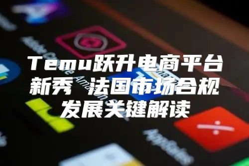 Temu跃升电商平台新秀 法国市场合规发展关键解读