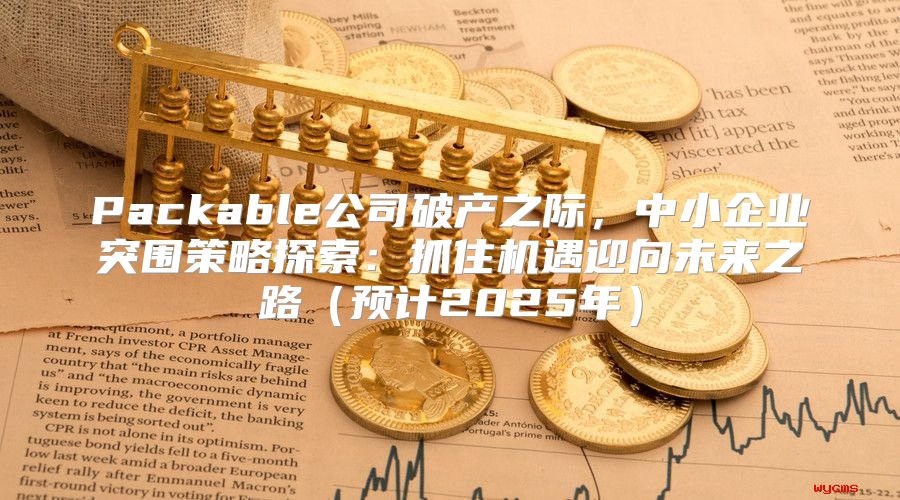 Packable公司破产之际，中小企业突围策略探索：抓住机遇迎向未来之路预计2025年