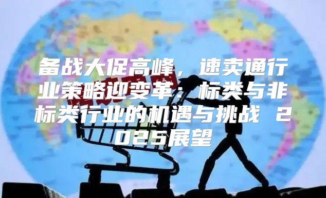 备战大促高峰，速卖通行业策略迎变革：标类与非标类行业的机遇与挑战 2025展望