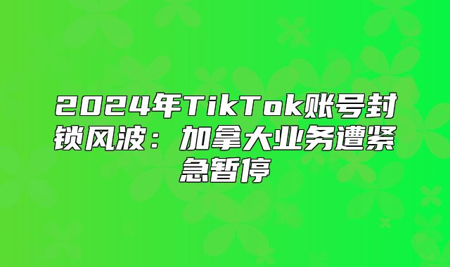 2025年TikTok账号封锁风波：加拿大业务遭紧急暂停