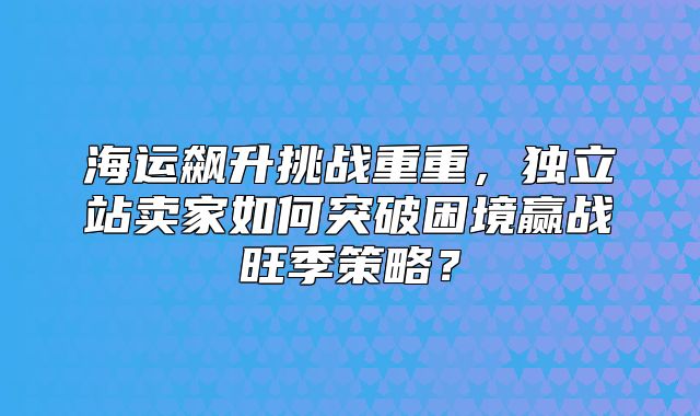 海运飙升挑战重重，独立站卖家如何突破困境赢战旺季策略？