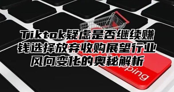 Tiktok疑虑是否继续赚钱选择放弃收购展望行业风向变化的奥秘解析