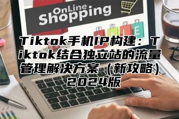 Tiktok手机IP构建：Tiktok结合独立站的流量管理解决方案新攻略 2025版