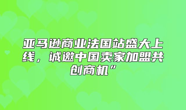 亚马逊商业法国站盛大上线，诚邀中国卖家加盟共创商机”