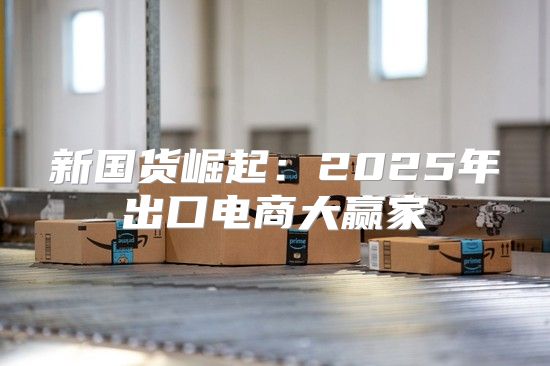 新国货崛起：2025年出口电商大赢家