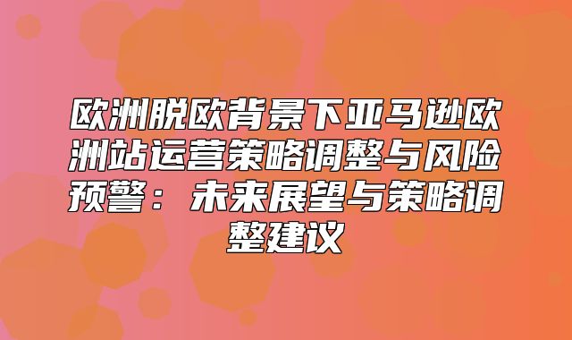 欧洲脱欧背景下亚马逊欧洲站运营策略调整与风险预警：未来展望与策略调整建议