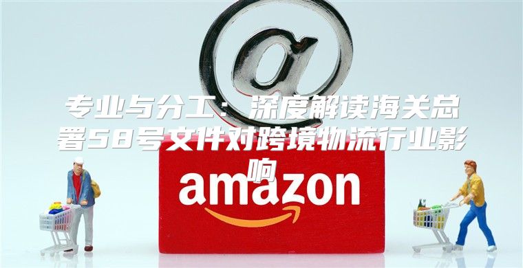 专业与分工：深度解读海关总署58号文件对跨境物流行业影响