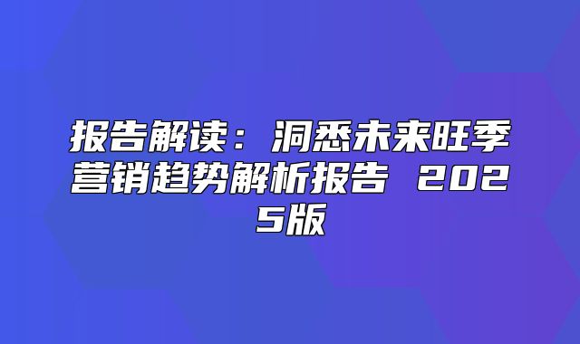 报告解读：洞悉未来旺季营销趋势解析报告 2025版