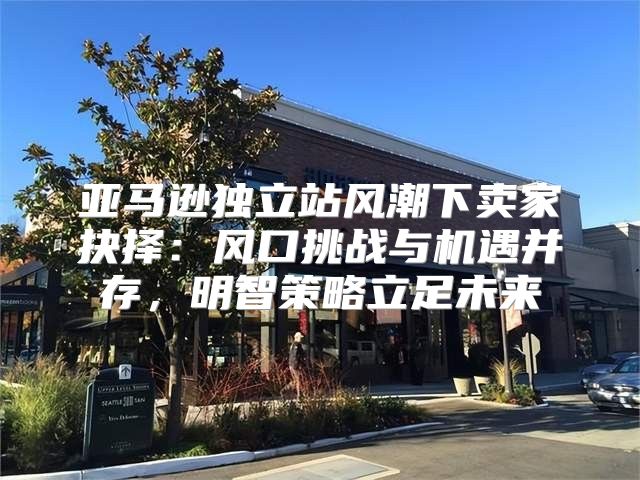 亚马逊独立站风潮下卖家抉择：风口挑战与机遇并存，明智策略立足未来