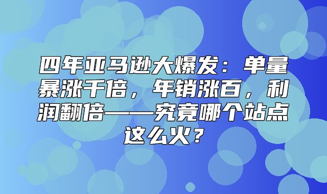 四年亚马逊大爆发：单量暴涨千倍，年销涨百，利润翻倍——究竟哪个站点这么火？
