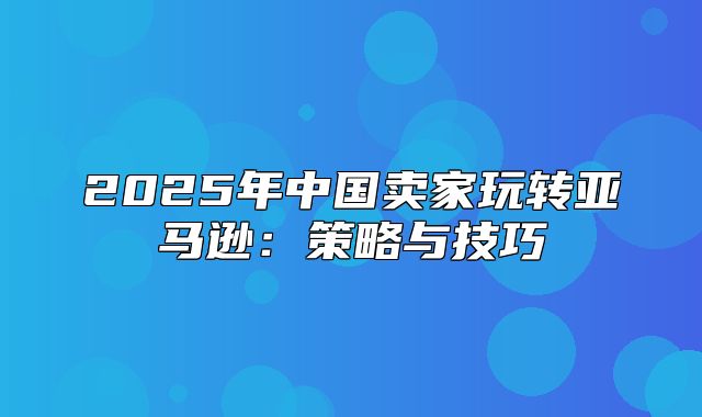 2025年中国卖家玩转亚马逊：策略与技巧