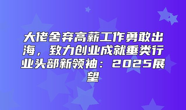 大佬舍弃高薪工作勇敢出海，致力创业成就垂类行业头部新领袖：2025展望