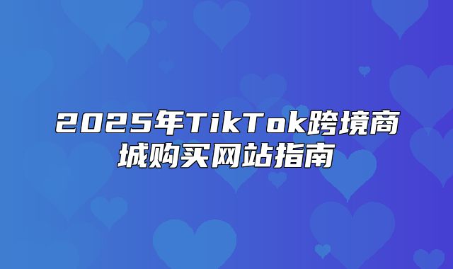 2025年TikTok跨境商城购买网站指南