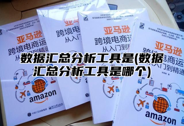数据汇总分析工具是(数据汇总分析工具是哪个)
