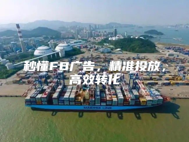 秒懂FB广告，精准投放，高效转化